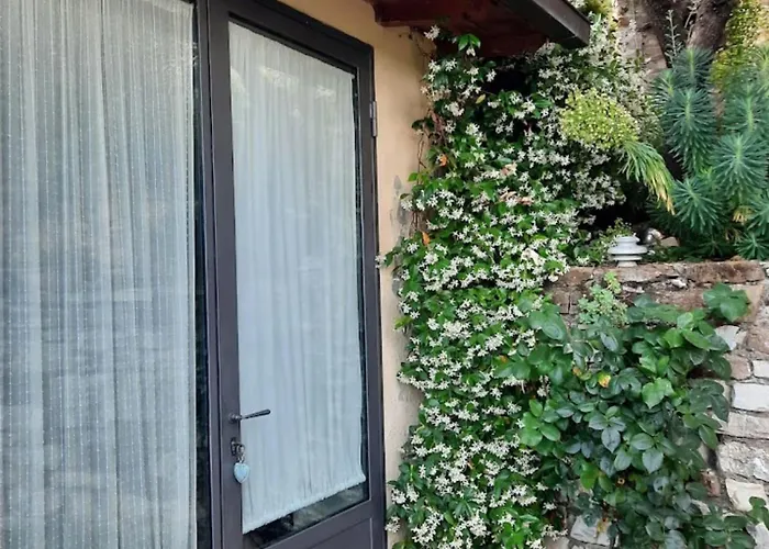 Alloggio per agriturismo Fattoio Alle Ripe Pelago